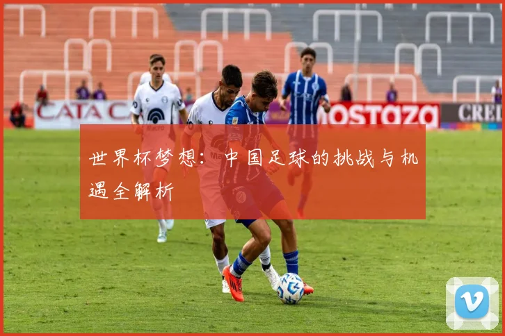 世界杯梦想：中国足球的挑战与机遇全解析