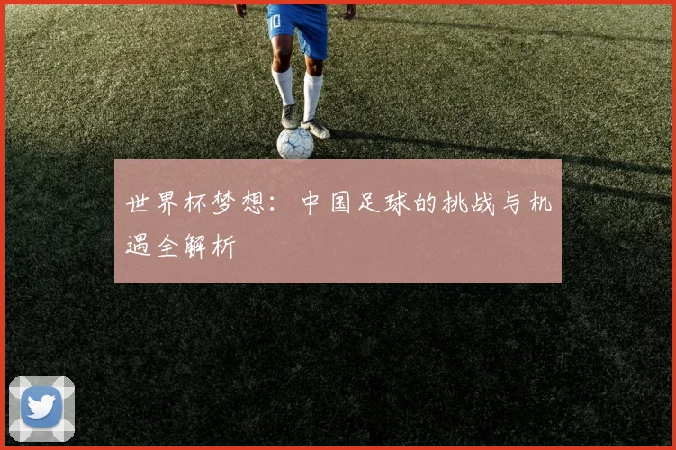 世界杯梦想：中国足球的挑战与机遇全解析