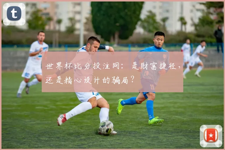 世界杯比分投注网：是财富捷径，还是精心设计的骗局？