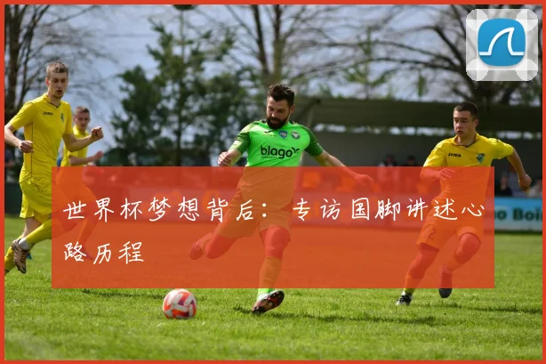 世界杯梦想背后：专访国脚讲述心路历程