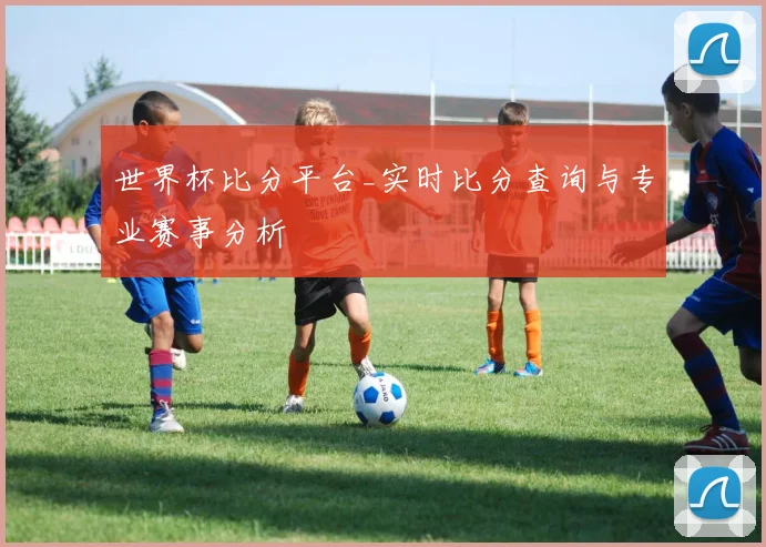 世界杯比分平台_实时比分查询与专业赛事分析