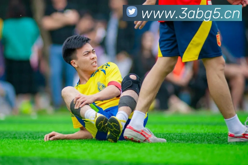 乐鱼官方在线登录入口APP 封面图